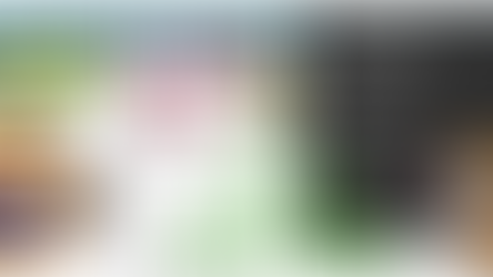 Oliver Kell - US Investing Champion