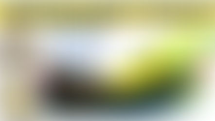 Momentum Burst Trading Strategy