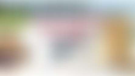 Dan Zanger Champion Trader