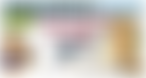 Dan Zanger Champion Trader