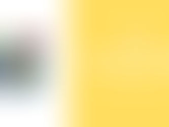 November 2021 (K-3rd)