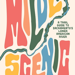 MildlyScenic_Cover.jpeg