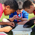 boys goldpanning.JPG