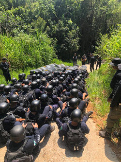 1 WhatsApp Image 2025-03-22 at 08.32.10 (1)