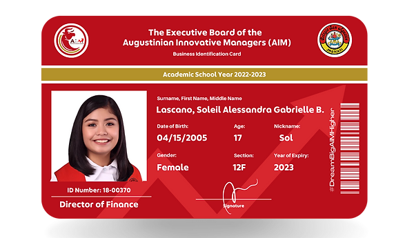 AIM INTRODUCTORY PROJ. (2).png