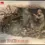 Thumbnail: Dragon, Japanese Army Infantry Iwo Jima 1945