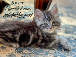 CB1C1F42-3711-48F7-BA66-8A21409DDFB9_edited