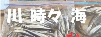 黒酢さんアメブロ