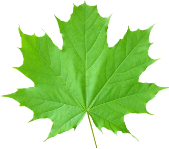 Writer: Eitekh Marketing Team