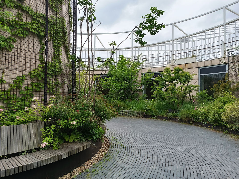 In the view of the circular garden in the museum, there are benches, plants, and trees. The sky is cloudy.