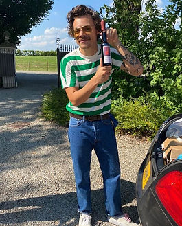 c7bfd89df1d27836392f0778b2cc72fffd-harry