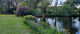 20220528_195944 (1).jpg