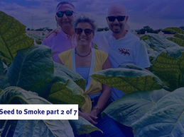 From Seed to Smoke 2/7