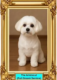 The Aristocut.webp