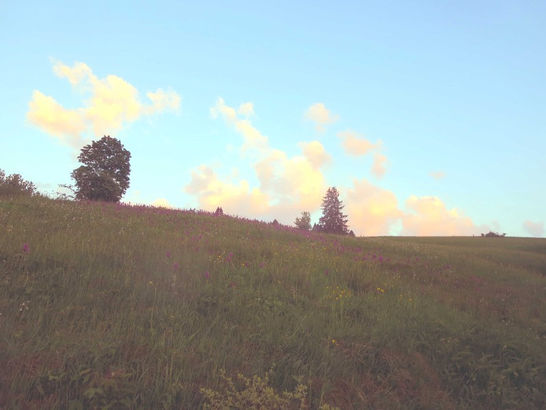 Hotel Breggers Schwanen, Bernau-Oberlehen, spa, wellness, bernau-oberlehen, historische gasthäuser, baden, genuss, baden württemberg, badische, küche, ausflugsziel, visitgermany, gasthaus, landgasthof, tradition, kulinarik, wirtshaus, gastgeber, gastronomie, übernachten, restauranttips, gute reise, gute küche, urlaubsziele, gastfreundschaft, stammtisch, familienbetrieb, traditionsgastronomie, ferien, urlaub, süddeutschland, Schwarzwald, Waldshut, Freiburg, Feldberg, Schluchsee, Südschwarzwald, Lörrach