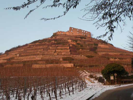 Gasthaus Löwen, Staufen, Goethe, Breisgau, Münstertal, Hexental, Markgräflerland, Johann Wolfgang von Goethe, Drama, Faust, historische gasthäuser, baden, genuss, baden württemberg, badische, küche, ausflugsziel, visitgermany, gasthaus, landgasthof, tradition, kulinarik, wirtshaus, gastgeber, gastronomie, übernachten, restauranttips, gute reise, gute küche, urlaubsziele, gastfreundschaft, stammtisch, familienbetrieb, traditionsgastronomie, ferien, urlaub, süddeutschland