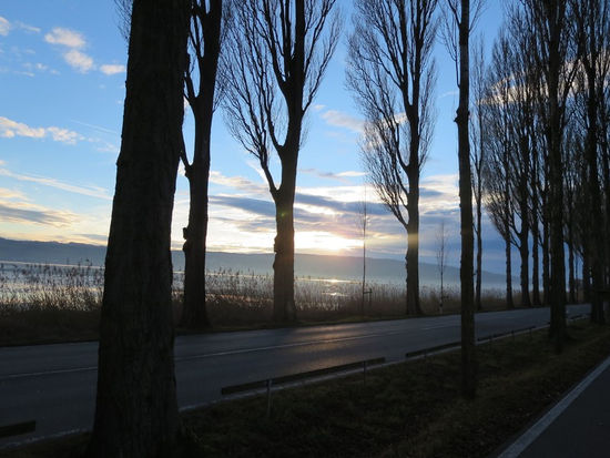 Hotel Restaurant Kreuz Reichenau, Insel Reichenau, historische gasthäuser, baden, genuss, baden württemberg, badische, küche, ausflugsziel, visitgermany, gasthaus, landgasthof, tradition, kulinarik, wirtshaus, gastgeber, gastronomie, übernachten, restauranttips, gute reise, gute küche, urlaubsziele, gastfreundschaft, stammtisch, familienbetrieb, traditionsgastronomie, ferien, urlaub, süddeutschland, historische gasthäuser, baden, genuss, baden württemberg, badische, küche, ausflugsziel, visitgermany, gasthaus, landgasthof, tradition, kulinarik, wirtshaus, gastgeber, gastronomie, übernachten, restauranttips, gute reise, gute küche, urlaubsziele, gastfreundschaft, stammtisch, familienbetrieb, traditionsgastronomie, ferien, urlaub, süddeutschland, Ott-Penzkofer, Bodensee, Konstanz, Radolfzell, Singen, Hohentwiel, Hegau, Überlingen,  Mainau, Konzil, Gemüseinsel, UNESCO, Welterbe, Kloster, Benedektiner, Jakobsweg,, Bodenseefischer, Felchen, Bodenseefelchen