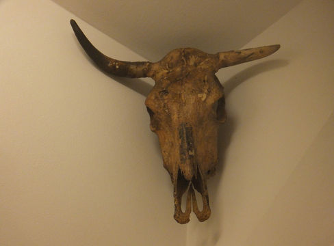 Gasthaus Ahorn, Titisee, historische gasthäuser, baden, genuss, baden württemberg, badische, küche, ausflugsziel, visitgermany, gasthaus, landgasthof, tradition, kulinarik, wirtshaus, gastgeber, gastronomie, übernachten, restauranttips, gute reise, gute küche, urlaubsziele, gastfreundschaft, stammtisch, familienbetrieb, traditionsgastronomie, ferien, urlaub, süddeutschland, Breisgau, Markgräflerland, Schwarzwald, Rhein, Frankreich, Schweiz, Rust, Basel, Breisach, Hochschwarzwald, FC Freiburg, Dreisam, Albert-Ludwigs-Universität, Emmendingen, Wein, Münster, Schlossberg, Schauinsland, Vörstetten, Gundelfingen, Glottertal, Stegen, Kirchzarten, Oberried, Münstertal/Schwarzwald, Bollschweil, Horben, Au, Merzhausen, Ebringen, Schallstadt, Bad Krozingen, Breisach am Rhein, Merdingen, Gottenheim, Umkirch, March, Freiburg i. Br.