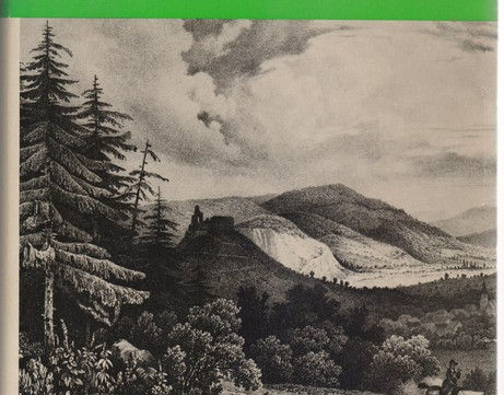 Gasthaus Ahorn, Titisee, historische gasthäuser, baden, genuss, baden württemberg, badische, küche, ausflugsziel, visitgermany, gasthaus, landgasthof, tradition, kulinarik, wirtshaus, gastgeber, gastronomie, übernachten, restauranttips, gute reise, gute küche, urlaubsziele, gastfreundschaft, stammtisch, familienbetrieb, traditionsgastronomie, ferien, urlaub, süddeutschland, Breisgau, Markgräflerland, Schwarzwald, Rhein, Frankreich, Schweiz, Rust, Basel, Breisach, Hochschwarzwald, FC Freiburg, Dreisam, Albert-Ludwigs-Universität, Emmendingen, Wein, Münster, Schlossberg, Schauinsland, Vörstetten, Gundelfingen, Glottertal, Stegen, Kirchzarten, Oberried, Münstertal/Schwarzwald, Bollschweil, Horben, Au, Merzhausen, Ebringen, Schallstadt, Bad Krozingen, Breisach am Rhein, Merdingen, Gottenheim, Umkirch, March, Freiburg i. Br.