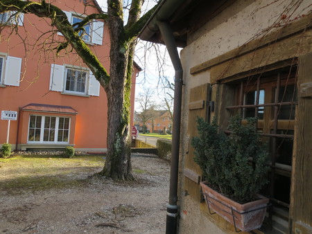 Hotel garni Insel-Hof, Insel Reichenau, historische gasthäuser, baden, genuss, baden württemberg, badische, küche, ausflugsziel, visitgermany, gasthaus, landgasthof, tradition, kulinarik, wirtshaus, gastgeber, gastronomie, übernachten, restauranttips, gute reise, gute küche, urlaubsziele, gastfreundschaft, stammtisch, familienbetrieb, traditionsgastronomie, ferien, urlaub, süddeutschland, Ott-Penzkofer, Bodensee, Konstanz, Radolfzell, Singen, Hohentwiel, Hegau, Überlingen, Mainau, Konzil, Gemüseinsel, UNESCO, Welterbe, Kloster, Benedektiner, Jakobsweg,, Bodenseefischer, Felchen, Bodenseefelchen