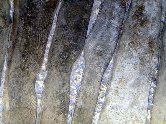 Elsäßer Hof, Kappel-Grafenhausen, historische gasthäuser, baden, genuss, baden württemberg, badische, küche, ausflugsziel, visitgermany, gasthaus, landgasthof, tradition, kulinarik, wirtshaus, gastgeber, gastronomie, übernachten, restauranttips, gute reise, gute küche, urlaubsziele, gastfreundschaft, stammtisch, familienbetrieb, traditionsgastronomie, ferien, urlaub, süddeutschland, Ortenau, Oberrheinische Tiefebene,  Rheinau, Offenburg