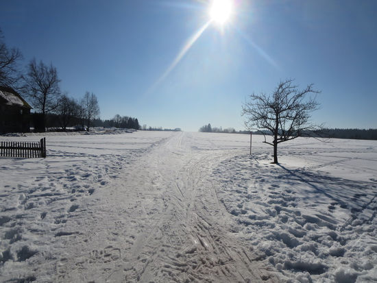 Landgasthof Schwanen, Hornberg, historische gasthäuser, baden, genuss, baden württemberg, badische, küche, ausflugsziel, visitgermany, gasthaus, landgasthof, tradition, kulinarik, wirtshaus, gastgeber, gastronomie, übernachten, restauranttips, gute reise, gute küche, urlaubsziele, gastfreundschaft, stammtisch, familienbetrieb, traditionsgastronomie, ferien, urlaub, süddeutschland, Mittlere Schwarzwald, Ortenaukreis, Baden-Württemberg, Schwarzwald, Hornberger Schießen, Reichenbachtal, Gutachtal, Rottweil, Triberg, Schramberg, Schwarzwald-Baar-Kreis, Straßburg, Konstanz, Großherzogthum Baden, Schiltach, Sanitärkeramik, Elektrotechnik, Holzverarbeitung, Duravit, Badische Schwarzwaldbahn