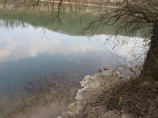 Hotel Restaurant Kranz, Laufenburg-Luttingen, historische gasthäuser, baden, genuss, baden württemberg, badische, küche, ausflugsziel, visitgermany, gasthaus, landgasthof, tradition, kulinarik, wirtshaus, gastgeber, gastronomie, übernachten, restauranttips, gute reise, gute küche, urlaubsziele, gastfreundschaft, stammtisch, familienbetrieb, traditionsgastronomie, ferien, urlaub, süddeutschland, Rhein, Hochrhein, Waldshut, Schweiz, Fasnacht, Hotzenwald, Aargau, Hochrheinbrücke, Bad Säckingen, Waldshut-Tiengen, Lörrach, Basel, Brugg, Aarau, Zürich, Schaffhausen, St. Blasien, Todtmoos, Freiburg, Singen, Hohentwiel, Habsburger, Burg Ofteringen, Dreißigjährige Krieg, Burg Laufenburg, Südschwarzwald, Kriegerfelsen