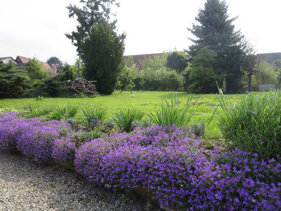 Restaurant Zum Bären, Norsingen, historische gasthäuser, baden, genuss, baden württemberg, badische, küche, ausflugsziel, visitgermany, gasthaus, landgasthof, tradition, kulinarik, wirtshaus, gastgeber, gastronomie, übernachten, restauranttips, gute reise, gute küche, urlaubsziele, gastfreundschaft, stammtisch, familienbetrieb, traditionsgastronomie, ferien, urlaub, süddeutschland, Breisgau, Markgräflerland, Schwarzwald, Rhein, Frankreich, Schweiz, Rust, Basel, Breisach, Hochschwarzwald, FC Freiburg, Dreisam, Albert-Ludwigs-Universität, Emmendingen, Wein, Münster, Schlossberg, Schauinsland, Vörstetten, Gundelfingen, Glottertal, Stegen, Kirchzarten, Oberried, Münstertal/Schwarzwald, Bollschweil, Horben, Au, Merzhausen, Ebringen, Schallstadt, Bad Krozingen, Breisach am Rhein, Merdingen, Gottenheim, Umkirch, March, Freiburg i. Br.