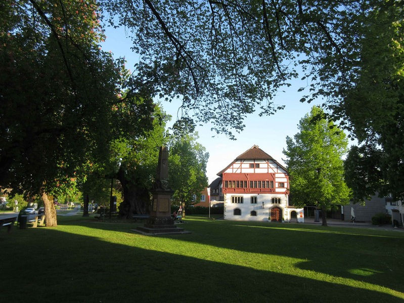 Hotel garni Insel-Hof, Insel Reichenau, historische gasthäuser, baden, genuss, baden württemberg, badische, küche, ausflugsziel, visitgermany, gasthaus, landgasthof, tradition, kulinarik, wirtshaus, gastgeber, gastronomie, übernachten, restauranttips, gute reise, gute küche, urlaubsziele, gastfreundschaft, stammtisch, familienbetrieb, traditionsgastronomie, ferien, urlaub, süddeutschland, Ott-Penzkofer, Bodensee, Konstanz, Radolfzell, Singen, Hohentwiel, Hegau, Überlingen, Mainau, Konzil, Gemüseinsel, UNESCO, Welterbe, Kloster, Benedektiner, Jakobsweg,, Bodenseefischer, Felchen, Bodenseefelchen