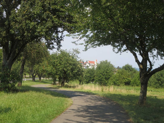 Hotel Hirschen, Gaienhofen-Horn, Höri, historische gasthäuser, baden, genuss, baden württemberg, badische, küche, ausflugsziel, visitgermany, gasthaus, landgasthof, tradition, kulinarik, wirtshaus, gastgeber, gastronomie, übernachten, restauranttips, gute reise, gute küche, urlaubsziele, gastfreundschaft, stammtisch, familienbetrieb, traditionsgastronomie, ferien, urlaub, süddeutschland, Bodensee, Konstanz, Radolfzell, Rhein, Schweiz, Schaffhausen, Hegau, Insel Höri, Reichenau, Untersee, Hermann Hesse, Moos, Baumallee, Mainau, Blumeninsel, Schriftsteller, Gaby Hauptmann