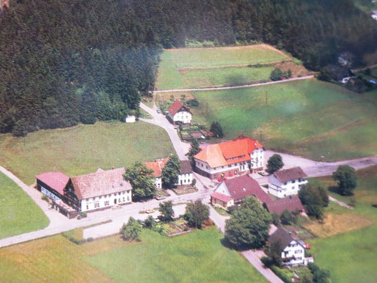 Landgasthof Schwanen, Hornberg, historische gasthäuser, baden, genuss, baden württemberg, badische, küche, ausflugsziel, visitgermany, gasthaus, landgasthof, tradition, kulinarik, wirtshaus, gastgeber, gastronomie, übernachten, restauranttips, gute reise, gute küche, urlaubsziele, gastfreundschaft, stammtisch, familienbetrieb, traditionsgastronomie, ferien, urlaub, süddeutschland, Mittlere Schwarzwald, Ortenaukreis, Baden-Württemberg, Schwarzwald, Hornberger Schießen, Reichenbachtal, Gutachtal, Rottweil, Triberg, Schramberg, Schwarzwald-Baar-Kreis, Straßburg, Konstanz, Großherzogthum Baden, Schiltach, Sanitärkeramik, Elektrotechnik, Holzverarbeitung, Duravit, Badische Schwarzwaldbahn
