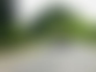 京都へ戻りました。