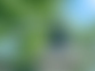 新患さま募集のお知らせ