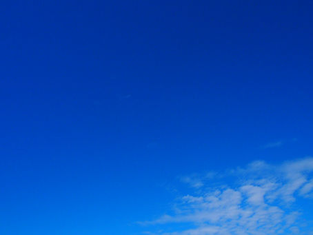 他院の先生方と