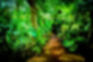 secret garden-33.jpg