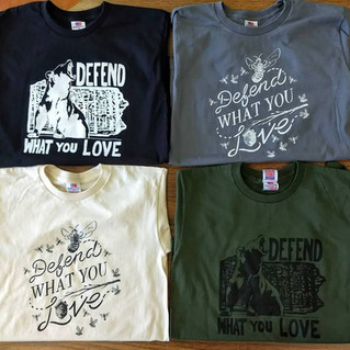 Illustration: Defend What You Love
