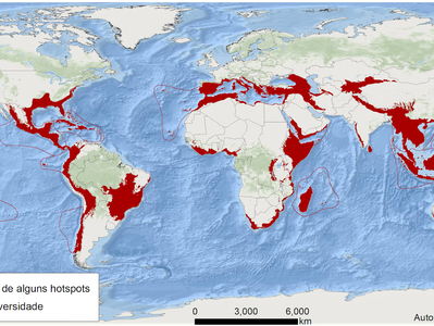 Hotspots de Biodiversidade