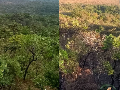 Os períodos de seca e chuva no Cerrado