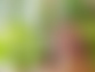 The Indoor Therapy for Containers