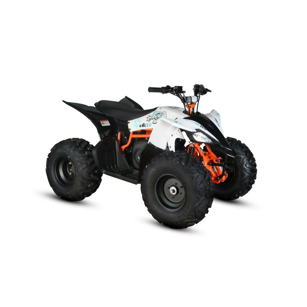 QUAD 110 EV 8ZOLL