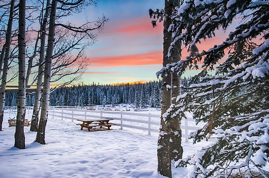 folk-tree-lodge (12).jpg