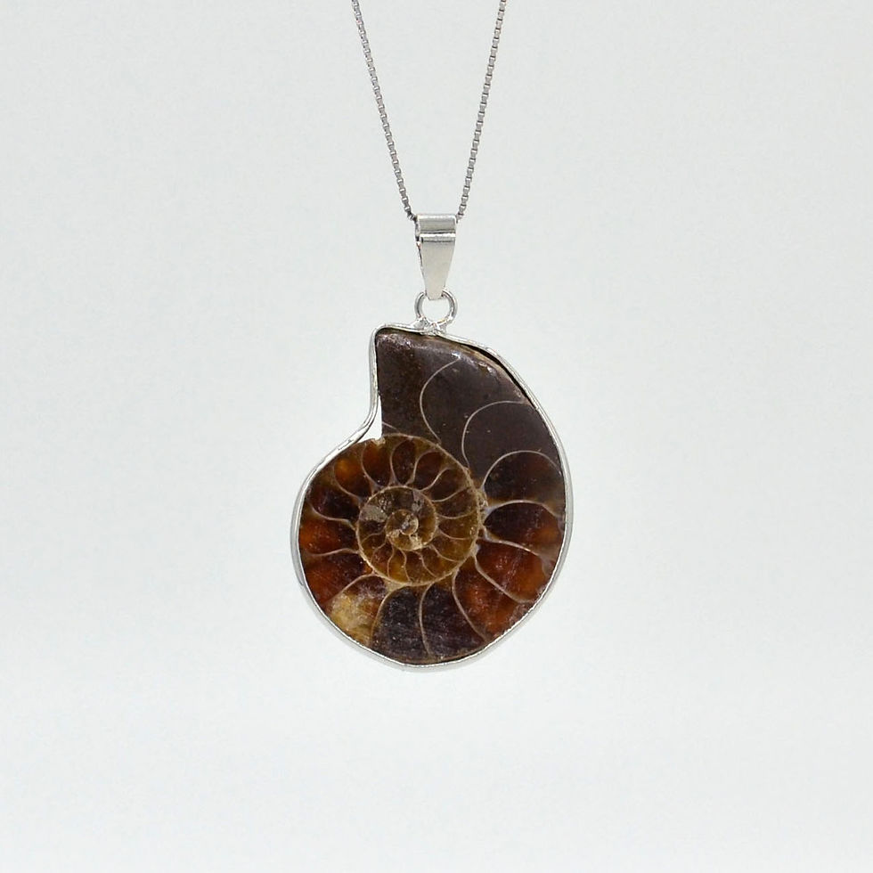 Thumbnail: Ancient Tide Ammonite Pendant (Y-PD023)