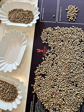 Pile of dark roasted coffee beans