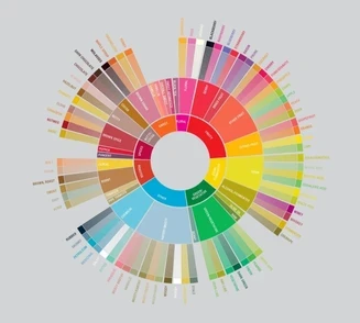 Coffee flavor wheel