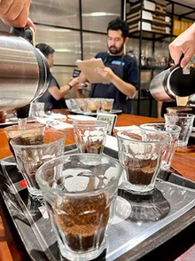 Coffee cupping with hands pouring water into cups