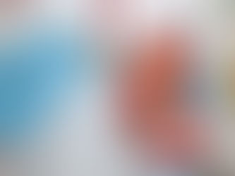 Understanding Kidney Function: What They Do and Why You Should Care