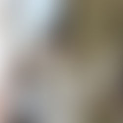 【幼児教育専攻】手作りのパペットを使って発表