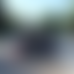 素描の授業で動物園に行ってきました