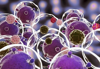 Header_regenerative-medicine-therapy.jpg