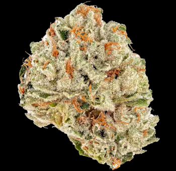 Garlic Breath